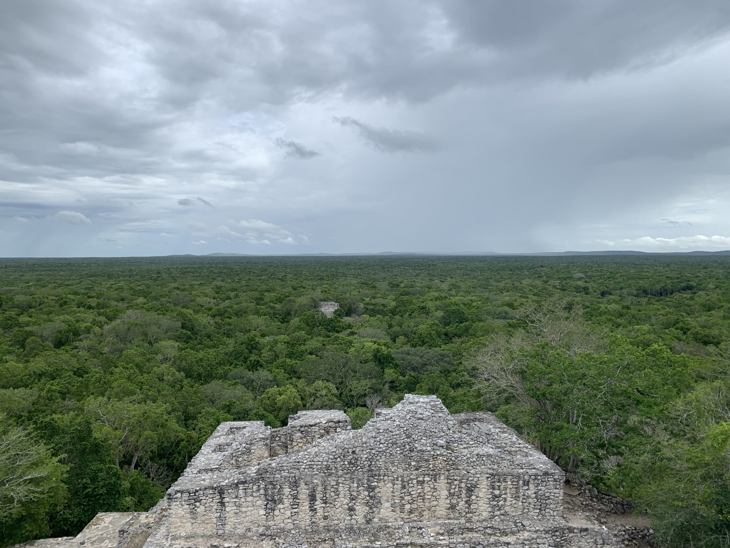 Mexikanischer Dschungel und die Maya-Ruinen von Calakmul - Krümel&amp;#39;s ...